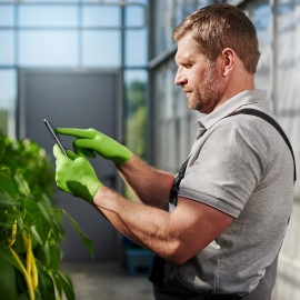 Рукавички нітрилові Mercator GoGrip Green Зелені 50 шт